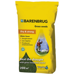Семена Barenbrug Dry&Strong 5кг (BDS5) Городок