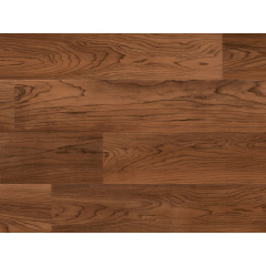 Линолеум Polyflor Forest Fx PuR Stained Maple 3110 Київ