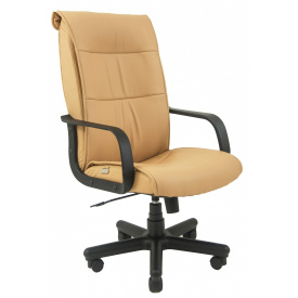 Офисное кресло руководителя Richman Рио Флай 2201 Пластик М1 Tilt Темно-Бежевое