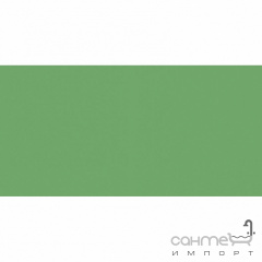 Плитка настінна 20x40 RAKO Color One Green Глянець RAL 1306050 WAAMB456 Полтава