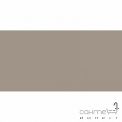 Плитка настінна 20x40 RAKO Color One Beige-grey Матова RAL 0607010 WAAMB312 Одеса