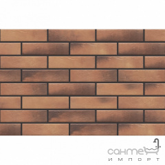 Фасадна плитка 245х65 CERRAD Loft brick CURRY 2 051 (коричнева, структурна) Одеса