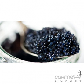 Плитка керамічна декор ABSOLUT KERAMIKA Black Caviar Decor 03 (чорна ікра)