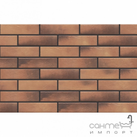 Фасадна плитка 245х65 CERRAD Loft brick CURRY 2 051 (коричнева, структурна)