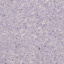 Рідкі шпалери YURSKI Тюльпан 1102 Фіолетові (Т1102) Чернігів