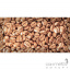 Плитка керамическая декор Absolut Keramika Coffe Beans 02 10x20 (зерна кофе) Полтава
