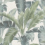 Немецкие виниловые обои на флизелиновой основе Rasch Barbara Home Collection ll Зеленый (536683) Николаев