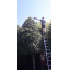 Трехсекционная лестница алюминиевая для стройки 3 х 10 ступеней (универсальная) Стандарт Хмельницкий