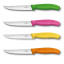 Набор кухонных ножей Victorinox Swiss Classic Cutlery Block Steak Pizza 5 предметов Разноцветные (6.7126.4) Луцьк