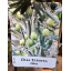 Оливковое дерево Florinda Olea europaea, 85-100 см, обьем горшка 6л Приморск