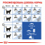 Сухой корм для домашних кошек Royal Canin Indoor 10 кг (11416) (0262558706944) Одесса
