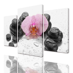 Модульная картина ArtStar цветы Орхидея с Черными камнями ADFL0026 размер 120 х 180 см Київ