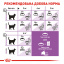 Сухой корм для взрослых стерилизованных кошек Royal Canin Sterilised 4 кг (3182550737616) (2537040) Одеса