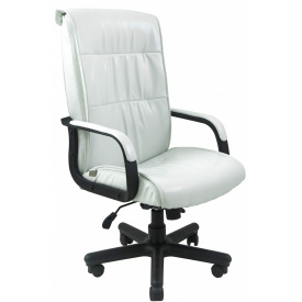 Офісне крісло керівника Richman Ріо Лакі White Пластик Річ М2 AnyFix Біле