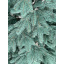 Искусственная елка литая голубая Cruzo Софіївська 1,8м. Хуст