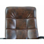 Офисное Кресло Руководителя Richman Вирджиния Титан Dark Brown Wood М2 AnyFix Коричневое Васильков
