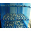 Сетка для сушки рыбы фруктов грибов Stenson "U" SF24146-45 3 яруса 45х45х68 см синяя Ивано-Франковск