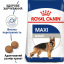 Сухой корм для собак Royal Canin Maxi Adult крупных пород старше 15 месяцев 15 кг (3182550401937/3182550702775) (3007150) Чернигов