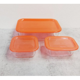 Набір харчових контейнерів 3 пр (380 мл, 380 мл, 1970 мл) Luminarc Keep'n'Box; Box Coral P8178