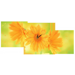 Настінний годинник Декор Карпати s27T Літні квіти Зелений/Жовтий (jAbN12716) Ужгород