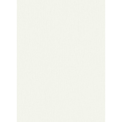 Виниловые обои на флизелиновой основе Erismann Fashion for Walls 3 12103-01 Белый Чернігів