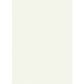 Виниловые обои на флизелиновой основе Erismann Fashion for Walls 3 12103-01 Белый