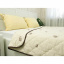 Облегченное шерстяное одеяло Vi'Lur 172x205 Двуспальный Микрофибра Кремовый Чернівці
