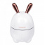 Зволожувач повітря та нічник 2в1 Humidifiers Rabbit Шостка
