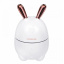 Зволожувач повітря та нічник 2в1 Humidifiers Rabbit Білий Запоріжжя