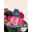 Рододендрон Rovinsky Garden Flowering XXL ⌀19 Тернопіль