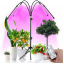 Светодиодная фитолампа GrowLight cо штативом для выращивания комнатных растений Full Spectrum (20201202) Шостка