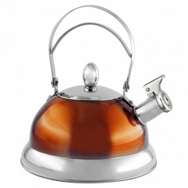 Чайник со свистком Lora Оранжевый H11-011 3000ml