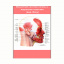 Плакат Vivay Мышечная система головы с жировыми пакетами (вид сбоку) А0 (8221) Полтава