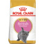 Сухой корм для котят Royal Canin Kitten British Shorthair 2 кг (3182550816533) (2566020) Тернопіль