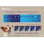 Жевательные таблетки для собак Boehringer Ingelheim Nexgard Spectra XS 2-3.5 кг 3 шт (3661103049555/3661103048572) Одесса