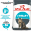 Сухой корм для кошек Royal Canin Urinary Care 2 кг (3182550842938) (1800020) Харьков