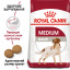 Сухой корм для взрослых собак средних пород Royal Canin Medium Adult старше 12 месяцев 4 кг (3182550708197) (99085) (3004040) Київ