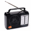 Портативное радио Knstar на батарейках и от сети RX -607 AC FM/AM/SW1/SW2 Надвірна