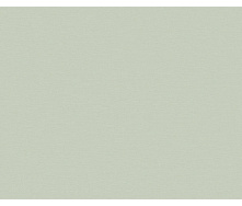 Вінілові шпалери на флізеліновій основі A.S.creation Artist Edition Сірий (34216-8)