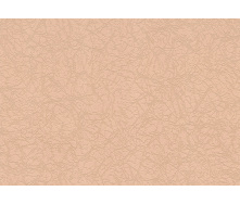 Шпалери Lanita вінілові на флізеліновій основі ФОЕ-1011-4 абрикосовий цв.фл.(1,06х10,05м.)