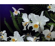 Фотошпалери Арт Декор Дика орхідея 194х278