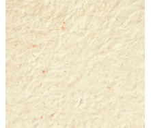 Рідкі шпалери Нектаринового кольору Тюльпан 1121