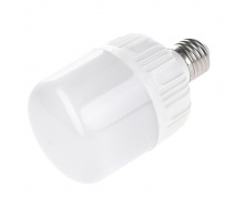 Лампа светодиодная Brille Пластик 13W Белый 32-852