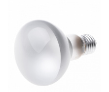 Лампа накаливания рефлекторная R Brille Стекло 100W Белый 126001