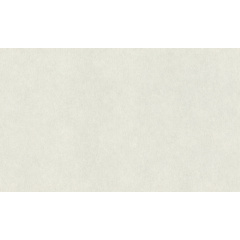 Вінілові шпалери на флізеліновій основі Rasch Raymond 957303 Білий-Сірий Чернівці