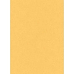 Вінілові шпалери на флізеліновій основі Erismann My Garden Жовтий (6331-04) Конотоп