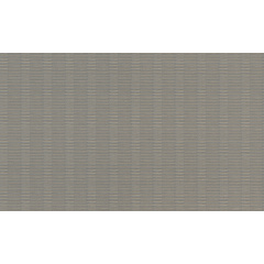 Вінілові шпалери на флізеліновій основі Rasch Axiom 960945 Сірий-Золотий Хмельницький