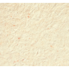 Рідкі шпалери Нектаринового кольору Тюльпан 1121 Краматорськ