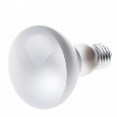 Лампа накаливания рефлекторная R Brille Стекло 100W Белый 126001 Хмельницкий