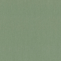 Немецкие виниловые обои на флизелиновой основе Rasch Barbara Home Collection ll Зеленый (800562) Львов